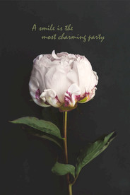 欧式装饰画 花朵 新中式装饰画