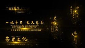 粒子光线穿梭字幕条PR模板