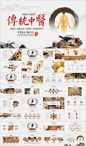 中医文化中医药材养生经络PPT