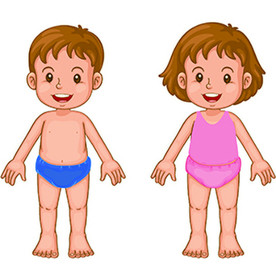 身体部位图片大全 身体部位设计素材 身体部位模板下载 身体部位图库 昵图网soso Nipic Com