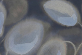 现代北欧风格 墙纸空间背景墙