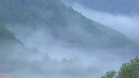 安徽黄山：雨后深山似水墨 云雾