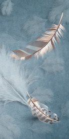 手绘 最新玄关画 TIF分层