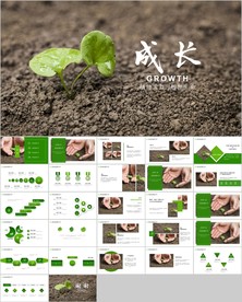 植物生长敬畏生命发芽成长ppt