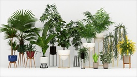 14种装饰植物盆栽集合