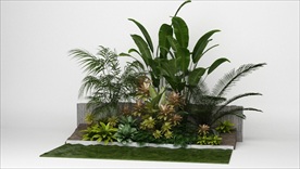 一组观赏装饰植物