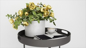 圆几上的装饰观赏白色花卉