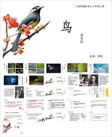 教学课件教育公开课说课PPT