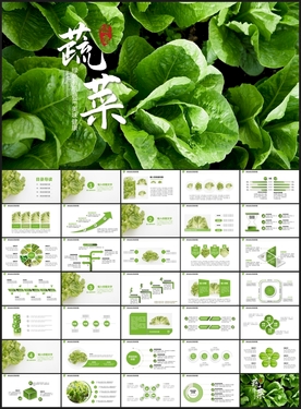 健康蔬菜PPT