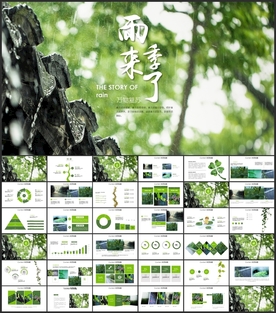 雨季PPT