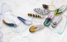 时尚羽毛背景图