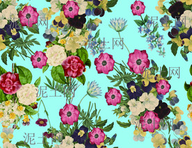 特别 好看的花卉