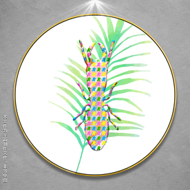 甲虫插画