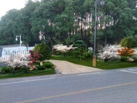 绿化景观设计效果图