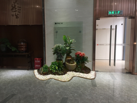 花卉租摆景观设计