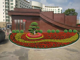 花卉租摆景观设计效果图