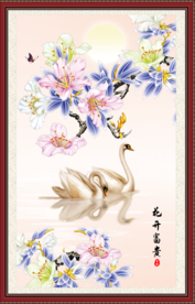 玉兰花