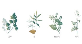 草本植物