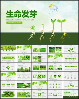 发芽PPT