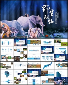 保护野生动物PPT