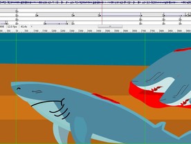 没有买卖没杀害鱼翅的悲剧1分钟