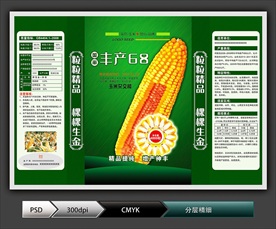 玉米种子