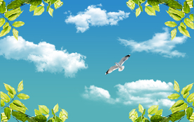 天空