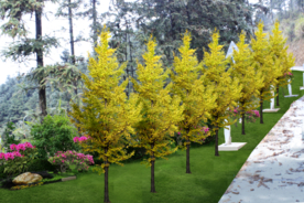 绿化改造景观设计效果图