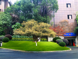 绿化改造景观设计效果图