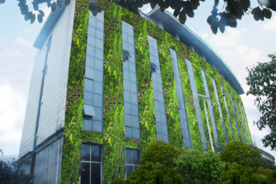 垂直绿化设计效果图