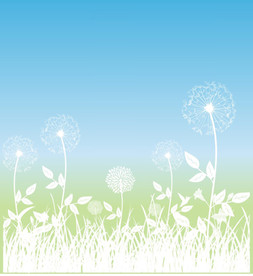 贴纸小清新薄公英花草