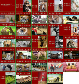 大气活动策划方案公关策划PPT