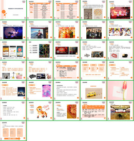 晚会活动执行方案PPT