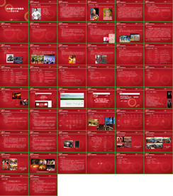 晚会活动执行方案PPT