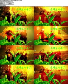 教师节歌曲在老师身边舞台背景