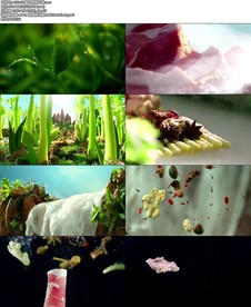 3D重庆麻辣火锅