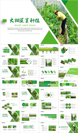 智慧农业大棚蔬菜农副产品PPT