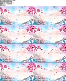 水墨桃花花瓣背景循环