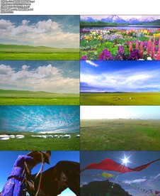 A379-美丽的草原我的家