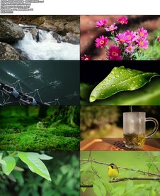 诗朗诵-如果我是一滴水伴奏视频