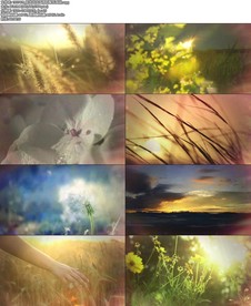 阳光总在风雨后配乐成品