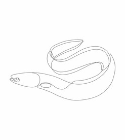 鳗鱼矢量线稿