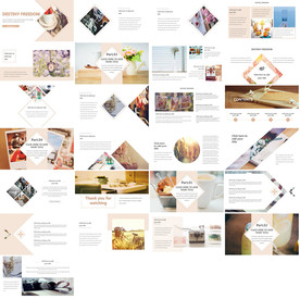 2020欧美风PPT商业计划