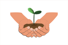 矢量图双手捧着一棵小嫩芽