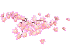 花素材 粉红花 花朵壁纸花