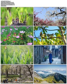 朱自清《春》任志宏版朗诵背景视