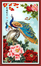 孔雀图