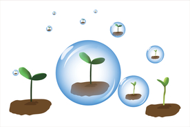 矢量图 泡泡中的小幼苗