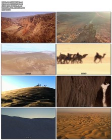 沙漠骆驼伴奏led背景