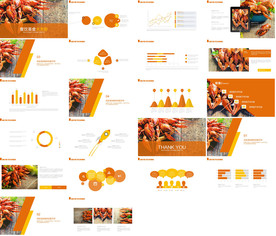 美食餐饮招商计划书PPT